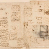 Codex-atlanticus-leonardo.jpg