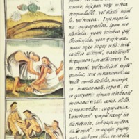 The_Florentine_Codex-_Insects_and_Inflammations.tif.jpg