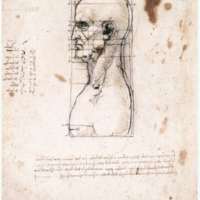 bust-of-a-man-in-profile-with-measurements-and-notes.jpg